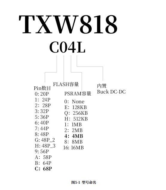 C-SKY Flash Programmer with STM32 CK-Link Lite: Reading/Writing to Taixin TXW817-810 MCU