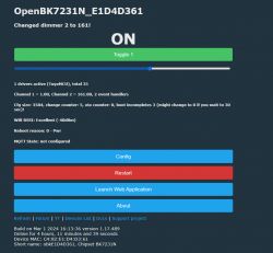 Screenshot of the control panel for OpenBK7231N_E1D4D361 with active channel 2 set to 161.