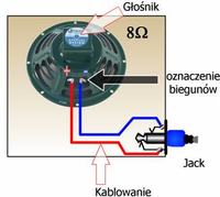 Montaż gniazda jack 6,3 w combo Peavey Studio Pro - który kabel to plus?