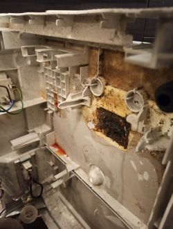 Bosch SGV45M93EU/82 - turbina oraz wycieki, czy opłaca się naprawiać