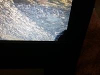 Dell Latitude 3450 - Czarna plama (piksele) na ekranie laptopa Dell Latitude