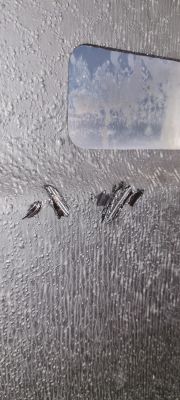 Whirpool AGD 9300 - wyłącznik różnicowo-prądowy nadpalona izolacja