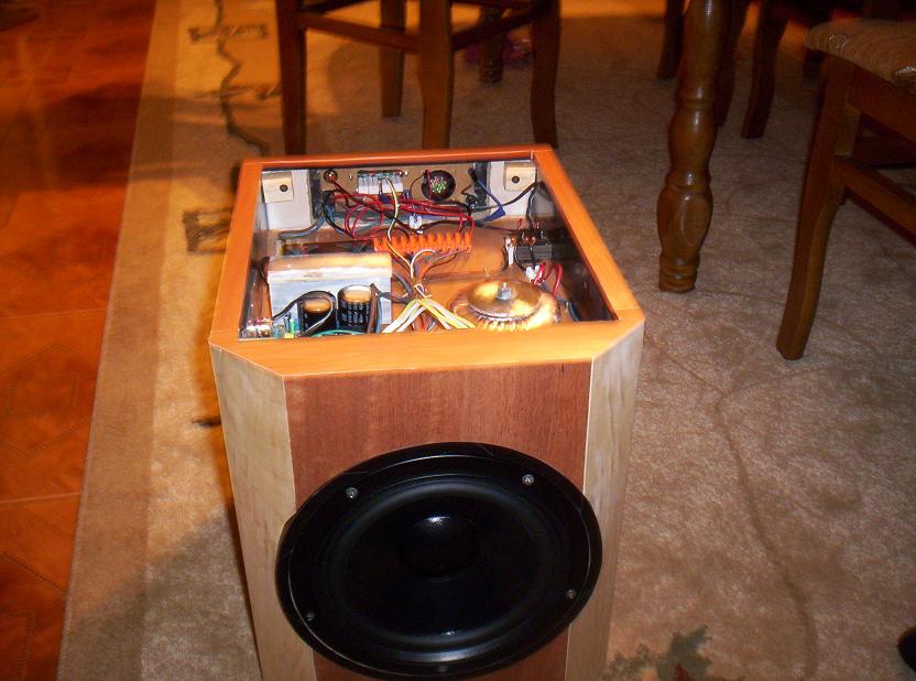 Subwoofer aktywny na Visaton 200 SC Subwoofer aktywny na Visaton 200 SC