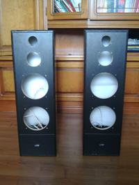 Kolumna głośnikowa - co w nią wsadzić?