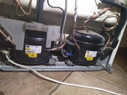Electrolux ER8230B TYP:B256736 - w lodówce nie działa chłodziarka