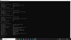 Wiersz polecenia Windows z informacjami o adapterach sieciowych.