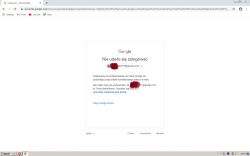 Brak dostępu do LG k8, Zapomniane hasło do konta google