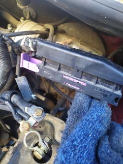 Peugeot 206 cc 1.6 16v 2003r - Brak świateł mijania