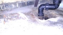 Addressing Unpleasant Odor from Floor Bathtub Drain in Apartment Block - No Siphon Issue Addressing Unpleasant Odor from Floor Bathtub Drain in Apartment Block - No Siphon Issue