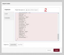 Node import window with pasted JSON code.