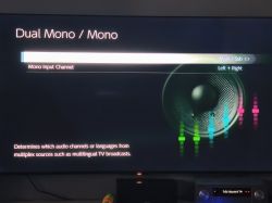 Menu ustawień audio z opcją wyboru kanału mono w trybie Dual Mono