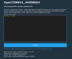 Screenshot of an OpenTXW81X page with a “Startup command” text box and a “Submit” button.