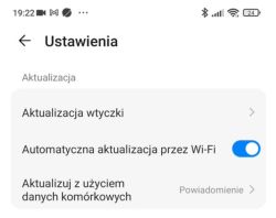 Ekran ustawień z opcjami aktualizacji wtyczki, Wi-Fi i danych komórkowych.