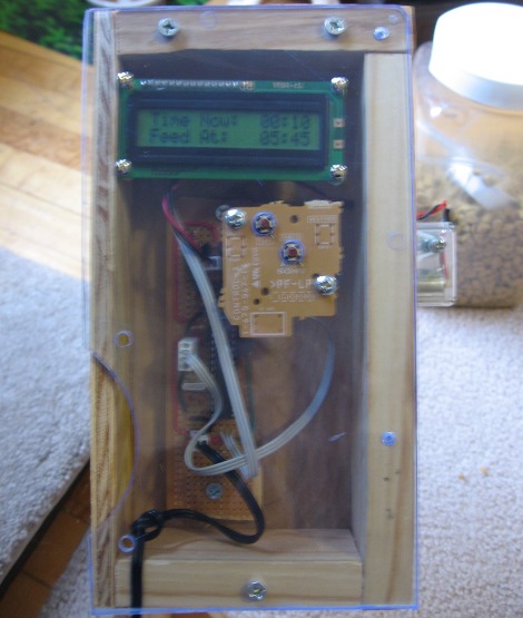 Prosty system automatycznego karmienia kota