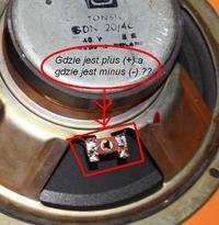 Jaka zwrotnica 2-drożna? Zestaw głośników zgc-40-8-581.