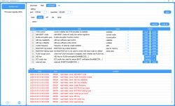 Interface of a firmware upgrade tool with a list of settings and errors.