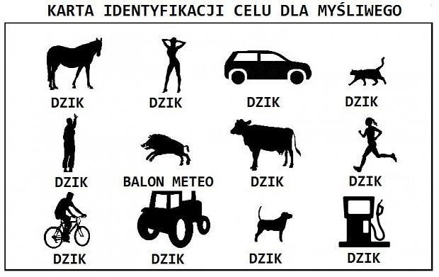 Karta identyfikacyjna z sylwetkami różnych obiektów oznaczonych jako DZIK, m.in. koń, człowiek, krowa, traktor.