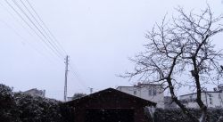 Panele fotowoltaiczne dach dwuspadowy strony: południowy zachód, północny wschód