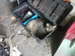 Jak macie wyposażoną skrzynkę serwisową?