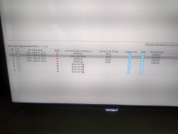 Zrzut ekranu przedstawiający listę kamer IP z różnymi statusami połączenia, wyświetlany na ekranie komputera.