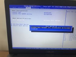 SanDisk SSD PLUS 240 GB Not Recognized by Asus r510lv Bios - Win10, Bios v307 Updates