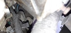 Fiat Seicento - Seicento, where is the speedometer sensor pulse?