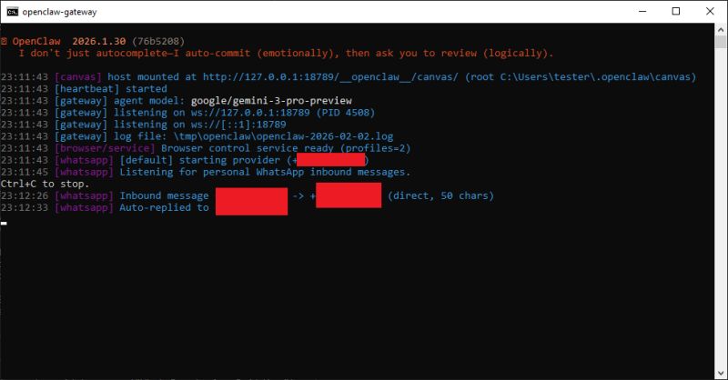 OpenClaw in practice - first impressions, installation report on Windows, tutorial