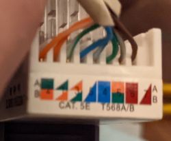 Kolejność przewodów w gnieździe LAN RJ-45 według standardu T-568B - nie działa. Jak podłączyć?
