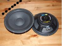 Subwoofer na dwóch głośnikach ALPHARD EM 1002 ? Subwoofer na dwóch głośnikach ALPHARD EM 1002 ?
