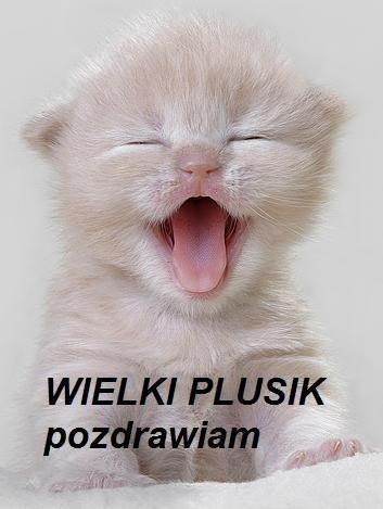 Audi A4 a Volvo S40; jakie różnice w jakości