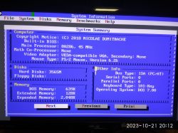Systeminformationsbildschirm zeigt Computerdaten mit DOS an.