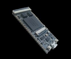 LicheeTang - płytka prototypowa FPGA z Anlogic EG4S20