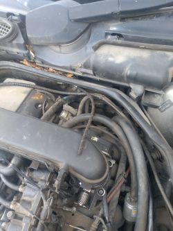 Szukam schematu podciśnień dla Mercedesa W210 2.0 benzyna