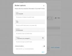 MQTT Broker Options with Hidden Password MQTT broker options window with the password field showing __**password_not_changed**__.