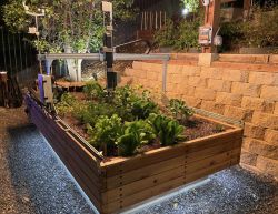 Farmbot - otwarty projekt własnej mini farmy - automatyczna uprawa warzyw