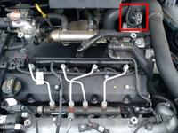 KIA Carnivall 2.9 CRDI 2008 - Gdzie jest EGR w tym silniku? Foto.