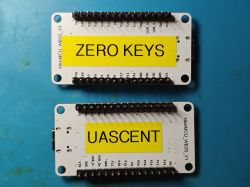 Two NiceMCU WB3S_V1 modules on a blue background with yellow labels.