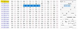Screenshot displaying hexadecimal data from memory at address mac 0x1E3000.
