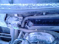 Astra F X14XE - Wtyczka w komorze silnika - od czego ?