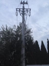 Buying a Plot with 15kV MV Pole: Assessing EMF Harmfulness, Overhead vs. Underground Cables Buying a Plot with 15kV MV Pole: Assessing EMF Harmfulness, Overhead vs. Underground Cables