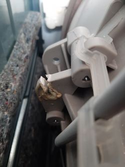 Pralka AEG/Electrolux L76820 - Urwany prawy zaczep sprężyny bębna-użyć drugiego? Pralka AEG/Electrolux L76820 - Urwany prawy zaczep sprężyny bębna-użyć drugiego?