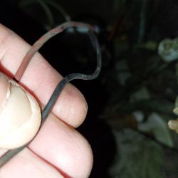 Nieznane kable pod akumulatorem w Chrysler Grand Voyager 2009