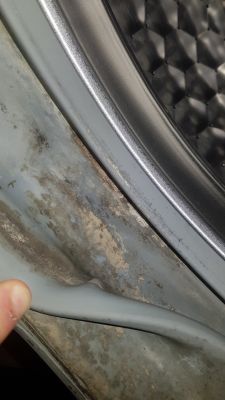 Miele AURIN W3732 - gdzie znaleźć fartuch lub usunąć osad?