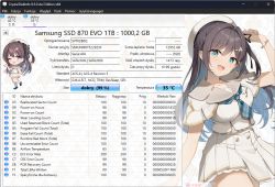 Interfejs CrystalDiskInfo z danymi o dysku Samsung SSD 870 EVO 1TB i ilustracją postaci anime.