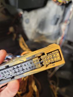 Mercedes W215 Czym wyczyścić nalot z zalanych przewodów elektrycznych?