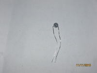 Czujnik temp.radioodbiornik Seat Cordoba