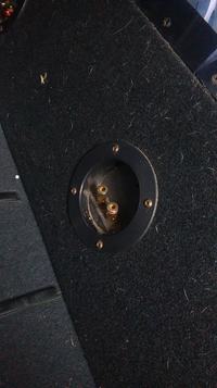 Jaki wzmacniacz do skrzyni Impulse US Acoustic i radia Kenwood KDC-92SD?