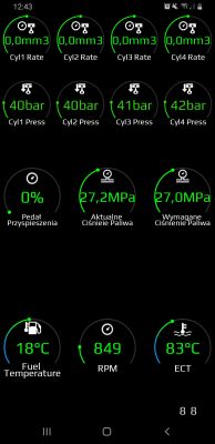 Opel Insignia 2.0 cdti 2013 ko - Interpretacja parametreow bieżących