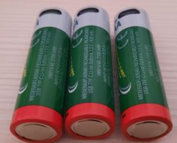AA Li-ion Batteries with USB-C Three green AA Li-ion USB-C batteries with red ends.