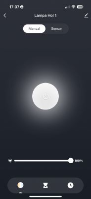 Lighting control panel Lampa Hol 1 with on/off button.